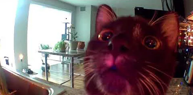 obraz.png