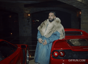 https://i.ibb.co/Fq8C12K6/Drake-Janice-STFU.gif