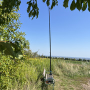IMG-9374