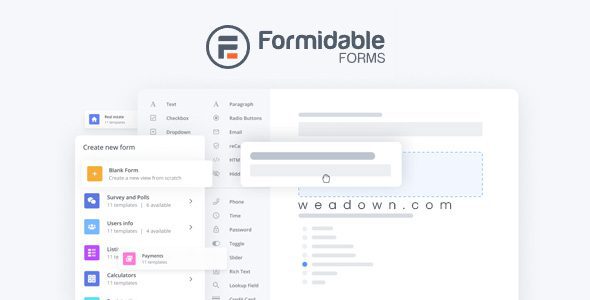 Download Formidable Forms Pro 6.33.1 + Addons – WordPress Forms Plugin and Form Builder