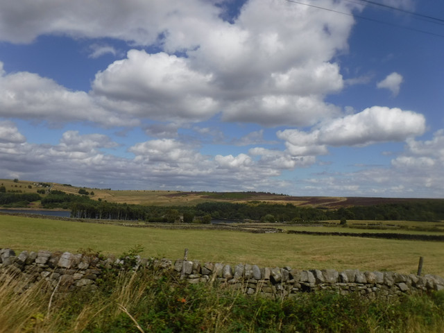 DSCF0188.jpg