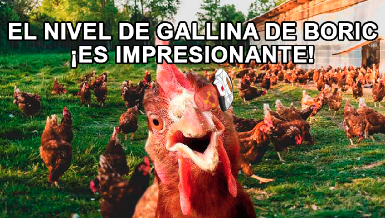 GALLINA2.png