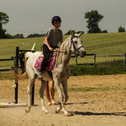 DSC03943