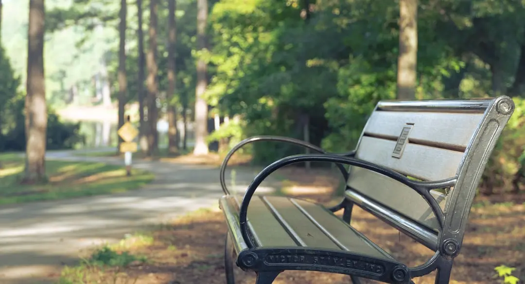 „Park Bench” de la Steve Buscemi preface TV-ul de talk viral