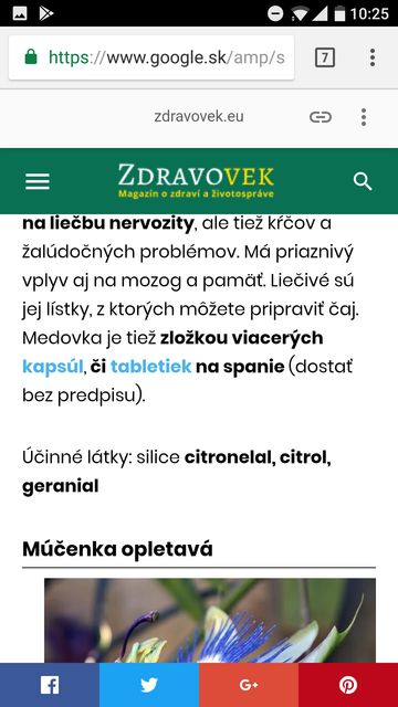 Screenshot AMP