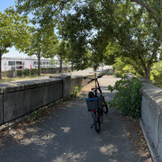 IMG 6114