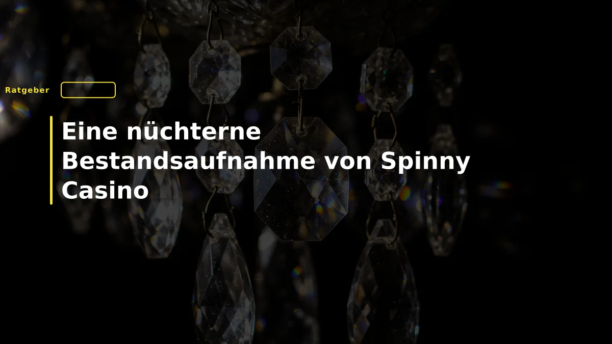 Eine nüchterne Bestandsaufnahme von Spinny Casino