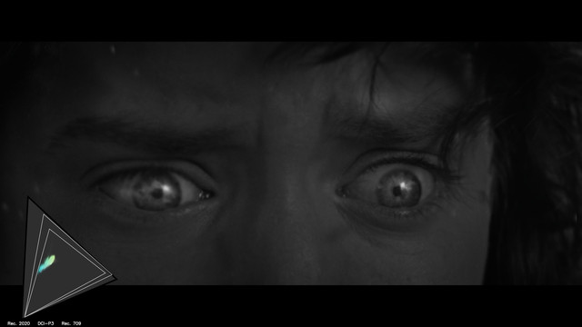 gamut-LOTR20075