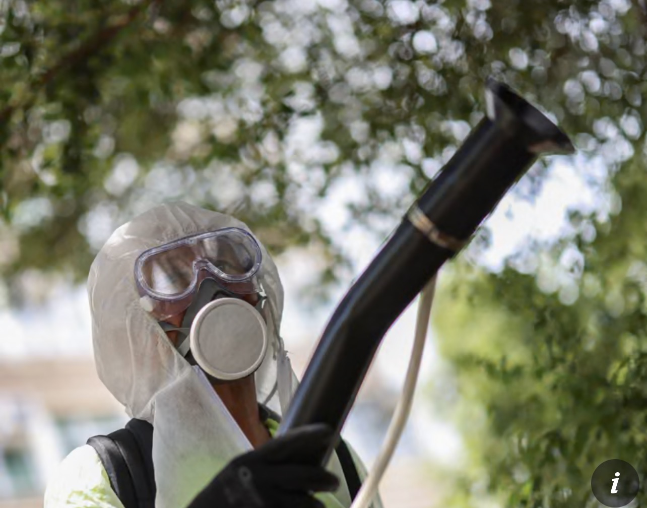 Excruciating tropical disease can now be transmitted in most of Europe, study finds