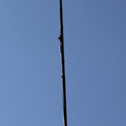 IMG 3465