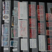 IMG-1998