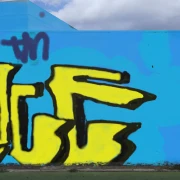 Graffiti artwork by ACE