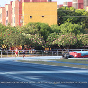 IMG 0140