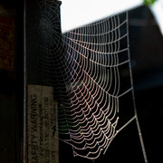 L1010511