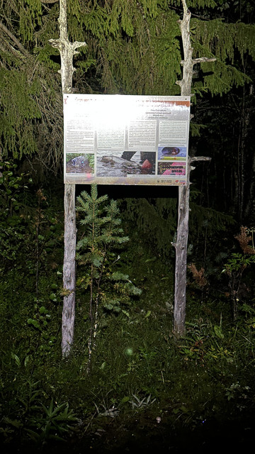 IMG 5658.jpg