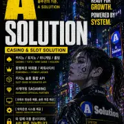casinosolution safe service