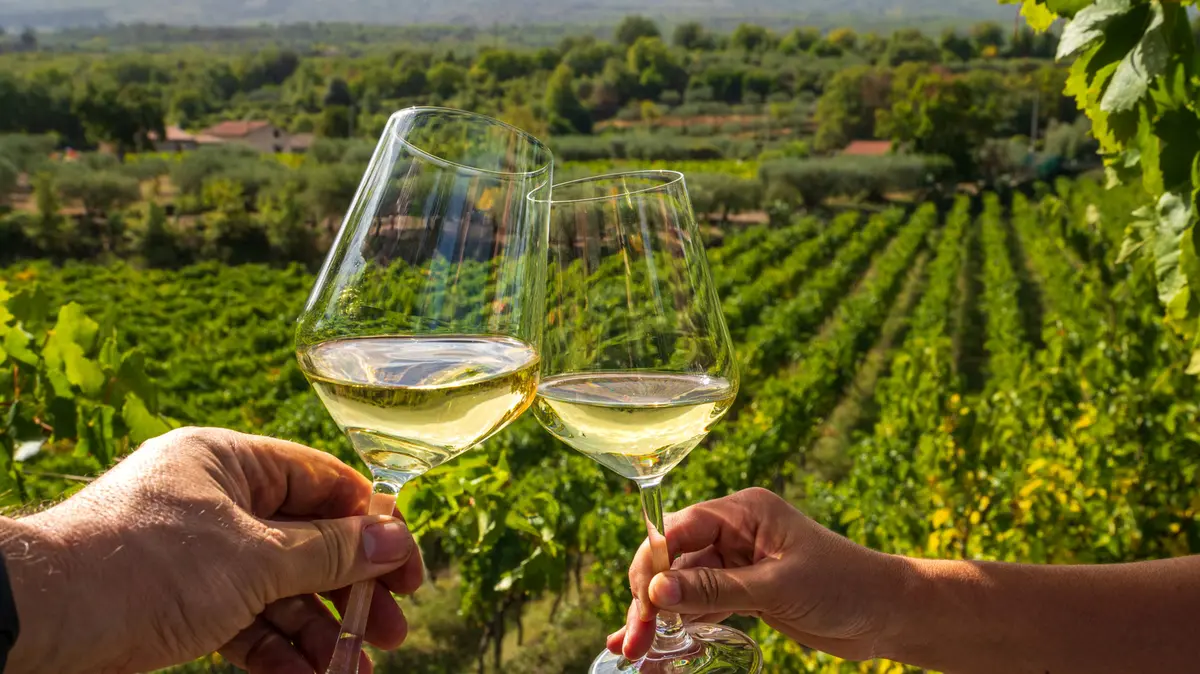 Is Pinot Grigio Dry Or Sweet?