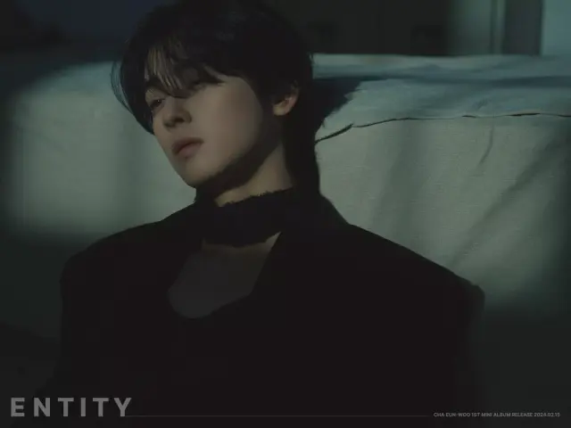 cha eun woo 1314983