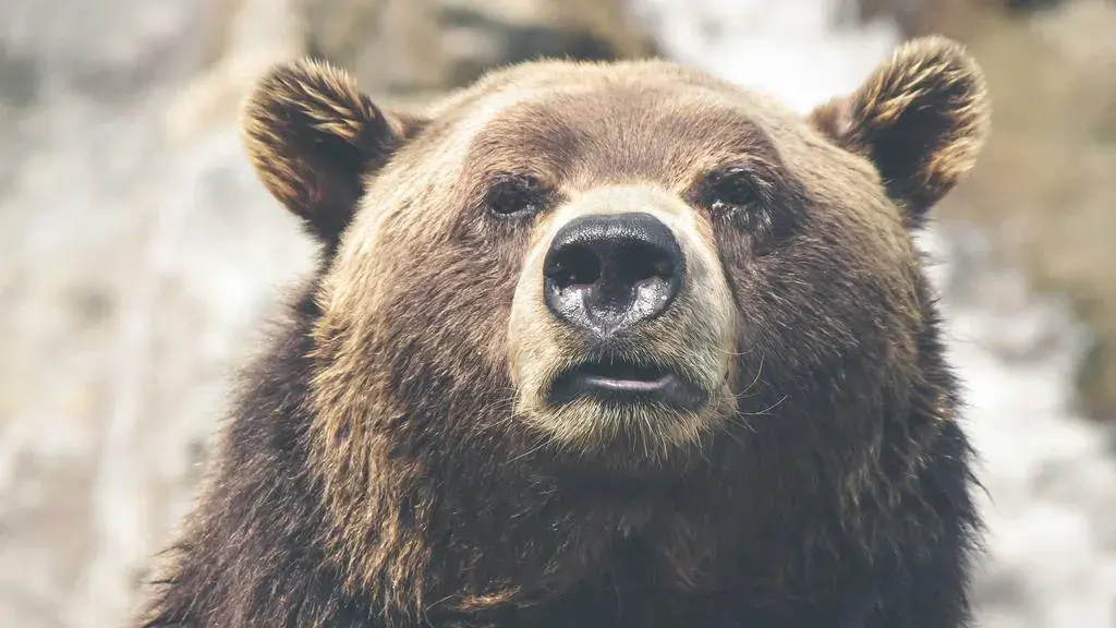 Insomnia: o problemă mai complexă decât pare