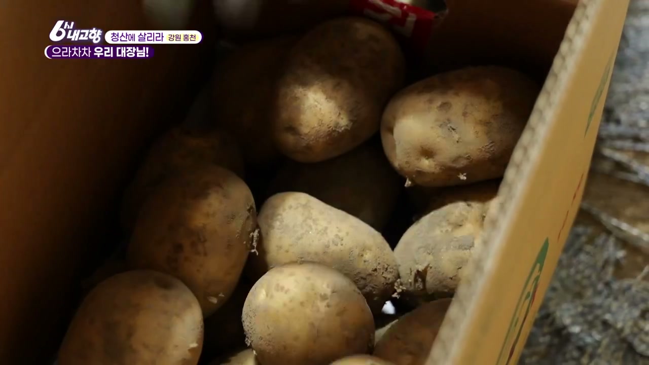 6시내고향 청산에 살리라 홍천 감자 캡처