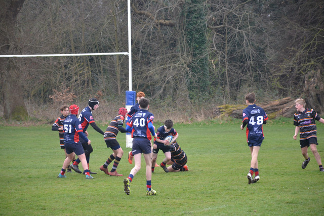 DSC 1104.jpg