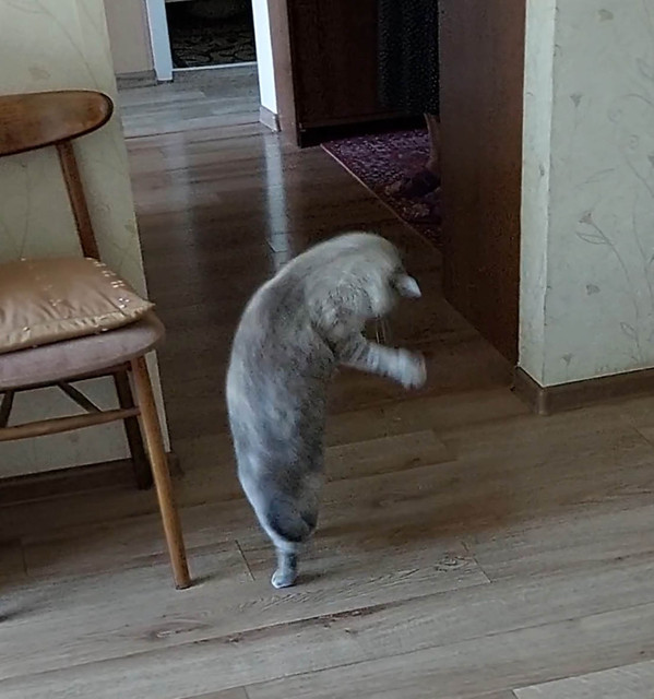 Video-Capture-20260724-101959.jpg