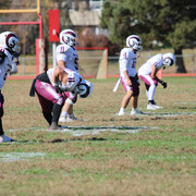 IMG-1379