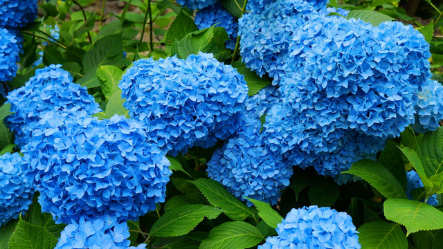 2013062522043824d
