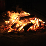 IMG-8477