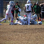 IMG-3810