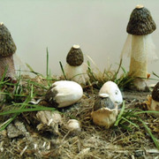 DSC00397