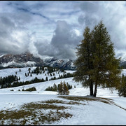 comp-IMG-3830