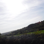 DSCF5523