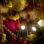 IMG-2483-Dx-O