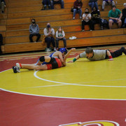IMG-0584