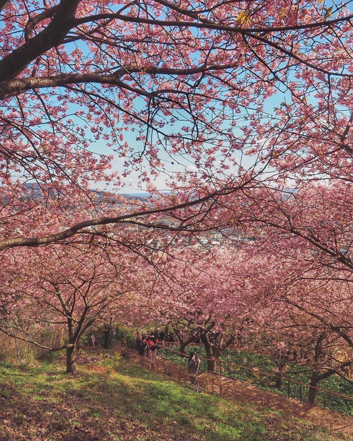 OZJsx5p-Gs8w