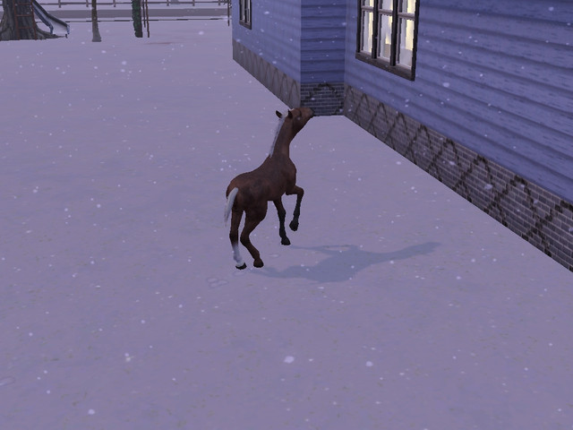 Screenshot-206