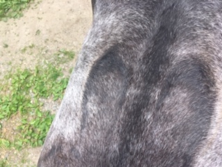 IMG-1710.jpg