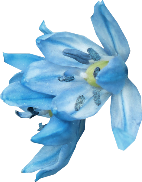 Aqua-Blues-Kit-90.png