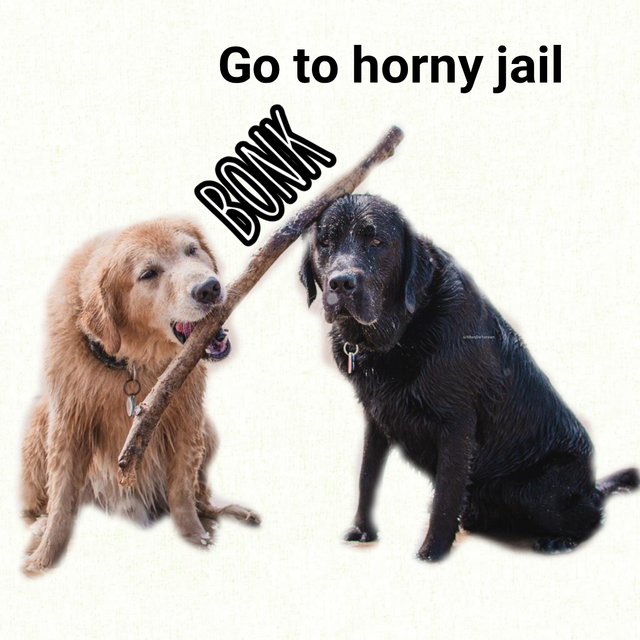 horny-Jailredo.png