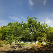 2a03714m