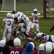 IMG-0730