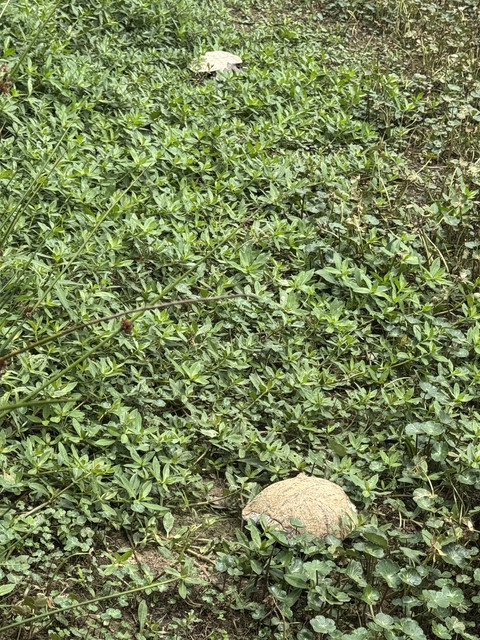 IMG 8437.jpg