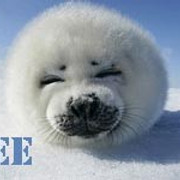 squee-15