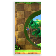31001584-Sonic