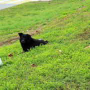 IMG-0901