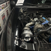 IMG-4995