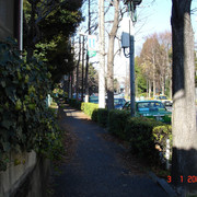 2008-01-03-024