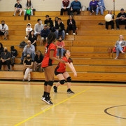 IMG-0118