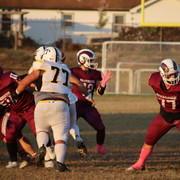 IMG-1549